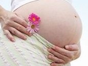 广州热门助孕公司盘点，揭秘广州试管婴儿助孕成功率哪家强