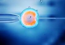 东莞三代试管婴儿助孕之路并非遥不可及