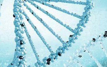 2026年幼稚子宫可以在保定市妇幼做三代试管吗？大概要花费多少钱？